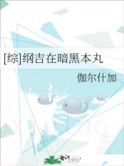 [综]纲吉在暗黑本丸