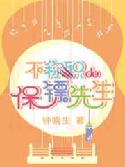 不称职的保镖先生