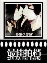 最佳拍档（重生高干）