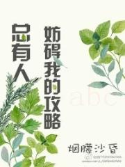 总有人妨碍我的攻略